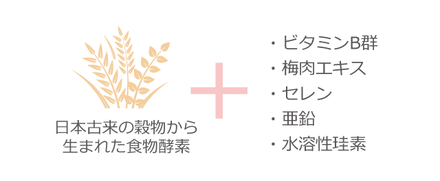 日本古来の穀物から生まれた食物酵素